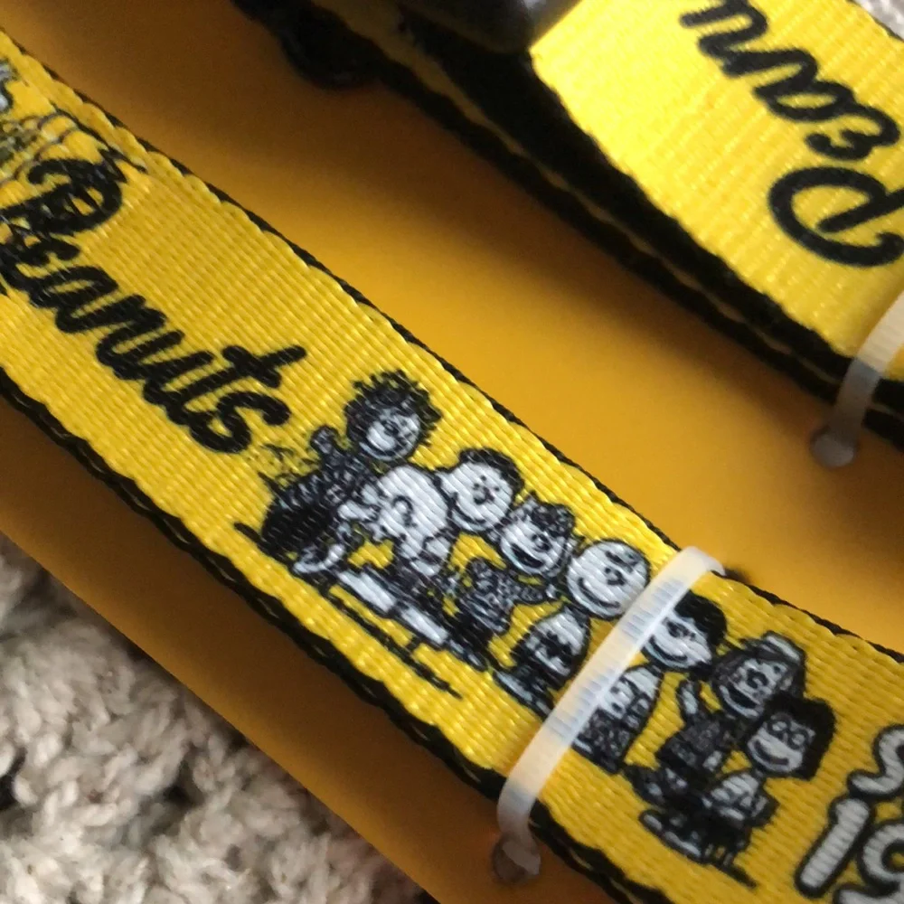 Peanuts Characters Yellow Pet Leash and Collar Set